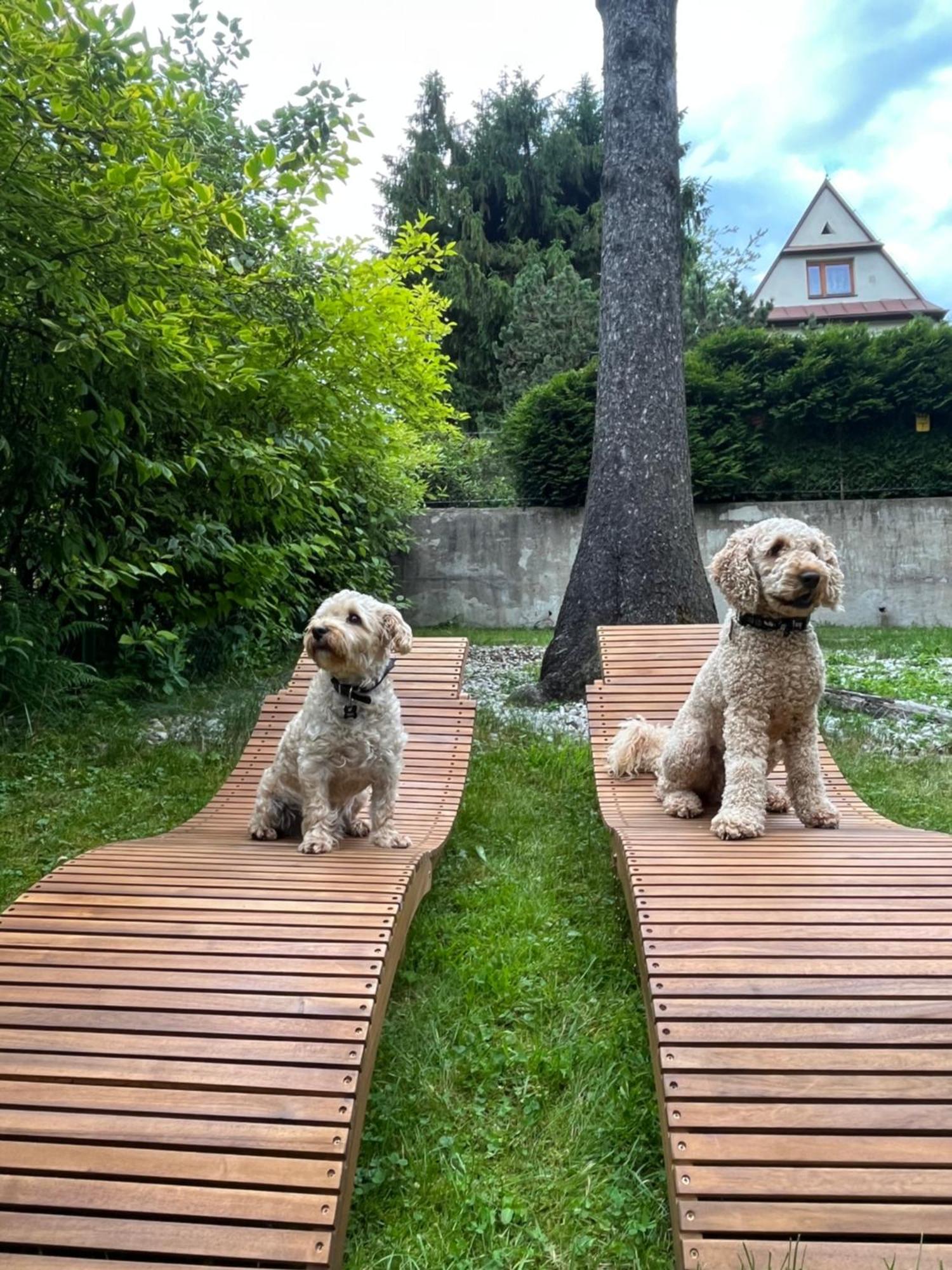 Willa Apart Zakopane Luaran gambar
